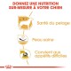 Image promouvant une nutrition sur mesure pour les chiens, avec des icônes pour la santé du pelage, la peau saine et l'adéquation pour les mangeurs difficiles, avec du texte en français.