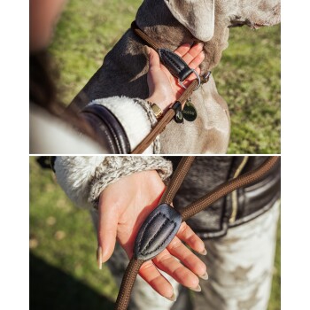 Eine Nahaufnahme eines Hundes mit einem schwarz-braunen Fell, der nach oben schaut und eine braune Leine und ein Halsband in einer Waldumgebung trägt.