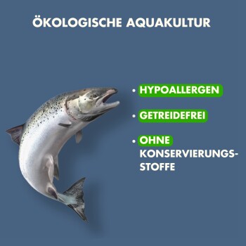 Bild eines Lachses mit Text, der seine Merkmale hervorhebt: "ÖKOLOGISCHE AQUAKULTUR," "HYPOALLERGEN," "GETREIDEFREI," "OHNE KONSERVIERUNGS-STOFFE."