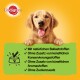 Ein glücklicher Golden Retriever Welpe mit seinen Pfoten auf einem grünen Banner, mit Text in Deutsch über natürliche Zutaten und ohne künstliche Zusatzstoffe.