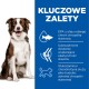 Szczęśliwy Border Collie na niebieskim tle z tekstem o oleju rybnym, nawodnieniu, glukozaminie i chondroitynie dla zdrowia stawów.
