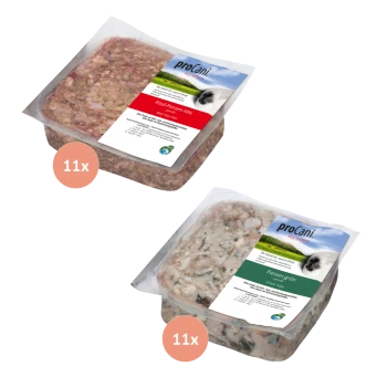 Zwei Pakete proCani Hundefutter, eines mit der Aufschrift "Rind-Pansen-Mix" in Rot und das andere "Pansen grün" in Grün, jeweils mit 11 Portionen.