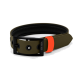 Ein glücklicher, gestromter Hund sitzt aufrecht, trägt ein grünes Halsband mit einem orangefarbenen Anhänger, vor einem schlichten weißen Hintergrund.