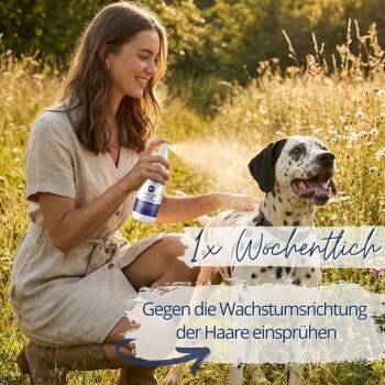Frau sprüht einen Dalmatiner in einem sonnenbeschienenen Feld an; sichtbarer Text: '1x Wöchentlich' und 'Gegen die Wachstumsrichtung der Haare einsprühen'.
