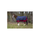 Ein braunes Pferd, das eine blaue und kastanienbraune Decke trägt, steht in einem grasbewachsenen Bereich, umgeben von Bäumen, und zeigt seine elegante Haltung.