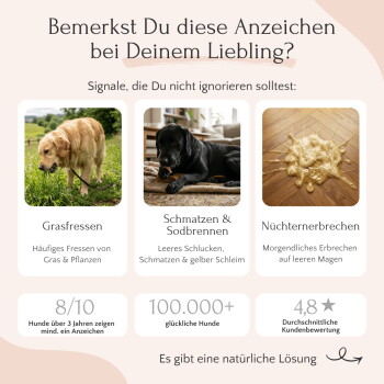Tiernahrungspaket "Gastro Kräuter", das die natürliche Unterstützung der Verdauung, Linderung von Symptomen, pflanzliche Kraft und das Gleichgewicht des Darms hervorhebt.