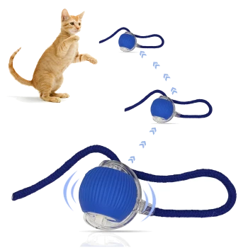 Orangener getigerter Kater spielt mit einem blauen Gummiballspielzeug, das an einem marineblauen Seil befestigt ist, gezeigt in einer Bewegungssequenz.