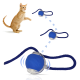 Orangener getigerter Kater spielt mit einem blauen Gummiballspielzeug, das an einem marineblauen Seil befestigt ist, gezeigt in einer Bewegungssequenz.