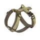Olivgrünes Hundegeschirr mit gepolsterten Riemen, verstellbaren Schnallen und einem Metall-D-Ring zur Leinenbefestigung.