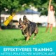 Ein glücklicher Hund läuft auf Gras mit einem gelben Trainingsspielzeug in der Luft, mit dem Text "Effektiveres Training Mittels Praktischer Wurfschlaufe."