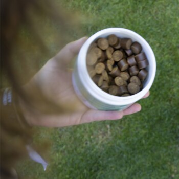 Eine Hand, die einen weißen Behälter mit runden, braunen Haustierleckerlis hält, vor einem grasbewachsenen Hintergrund.