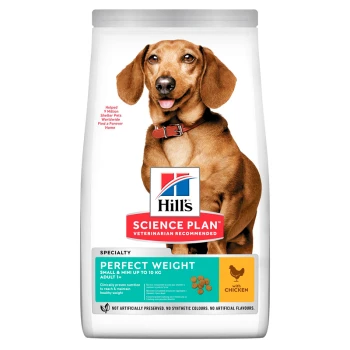 Best food for overweight dog cheap