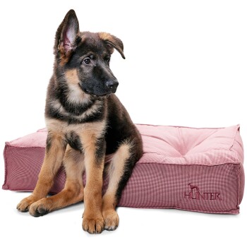 Ein deutscher Schäferhund-Welpe sitzt auf einem plüschigen, rosa Hundebett mit gepolstertem Design, das den gestickten Markennamen 'HUNTER' zeigt.