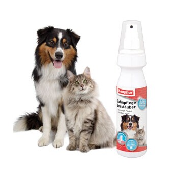 Szczęśliwy pies i puszysty kot siedzą obok butelki z rozpylaczem oznaczonej "beaphar Zahnpflege Zerstäuber," zaprojektowanej do pielęgnacji zębów zwierząt.