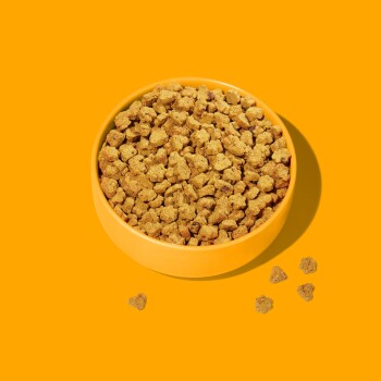 Eine leuchtend orange Schüssel, gefüllt mit kleinen, herzförmigen Haustierfutterkroketten, mit einigen verstreuten Stückchen auf einem passenden orangefarbenen Hintergrund.