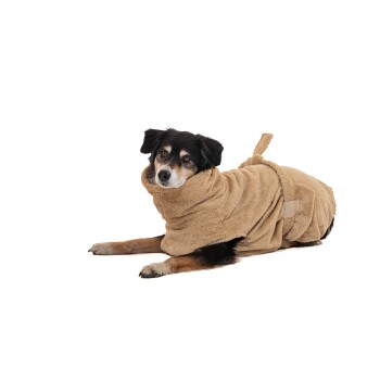 Ein schwarz-brauner Hund, eingewickelt in ein weiches, beiges Handtuch, liegt auf einem weißen Hintergrund und schaut neugierig in die Kamera.