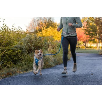 Eine Frau joggt auf einem Weg mit einem Hund, der ein blaues Geschirr trägt, umgeben von buntem Herbstlaub.