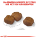 Stücke von Haustierfutterkibble auf einem Skizzenhintergrund, mit fettem Text darüber, der "MAßGESCHNEIDERTE REZEPTUR MIT AKTIVEN NÄHRSTOFFEN" besagt.