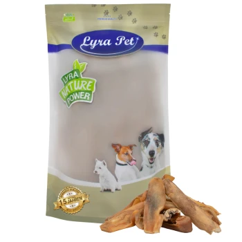 Lyra Pet Hundeleckerlipackung mit drei Hunden auf der Vorderseite, beschriftet 'Lyra Nature Power', mit einem Haufen Leckerlis davor.