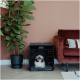 Ein kleiner, flauschiger Hund sitzt in einer schwarzen Haustierbox mit einer grauen Decke, neben einer großen, blättrigen Pflanze und einem gemütlichen roten Sofa.