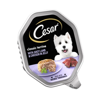 Cesar classic terrine dog food packaging featuring "with juicy lamb & chicken in jelly," showcasing a portion of the food and meat pieces.