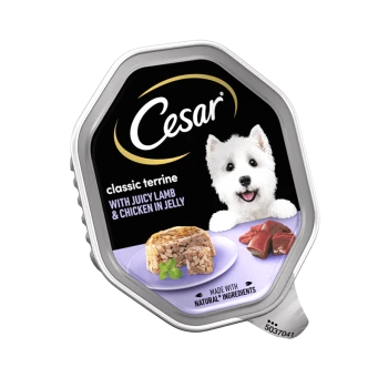 Cesar classic terrine dog food packaging featuring "with juicy lamb & chicken in jelly," showcasing a portion of the food and meat pieces.