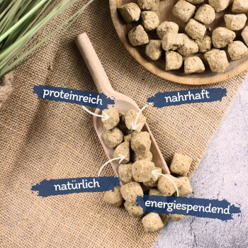 Trockene Haustierfutterpellets auf einem Holzlöffel und Teller mit deutschen Etiketten: proteinreich, herzhaft, natürlich, energiespendend.
