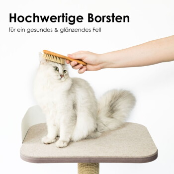Eine Person bürstet eine flauschige weiße Katze auf einem beigen Katzenbaum, mit dem Text darüber: "Hochwertige Borsten für ein gesundes & glänzendes Fell."