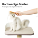 Eine Person bürstet eine flauschige weiße Katze auf einem beigen Katzenbaum, mit dem Text darüber: "Hochwertige Borsten für ein gesundes & glänzendes Fell."