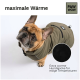 Ein französischer Bulldogge in einer olivgrünen Jacke mit "maximale Wärme" und "Extra warme Hundejacke für eisige Temperaturen" darüber.
