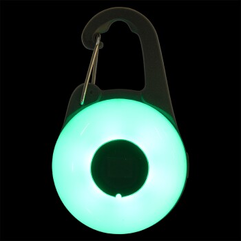 Hund LED-Blinkanhänger