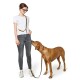 Frau in weißem T‑Shirt trägt eine olivgrüne Freihandleine über der Schulter, ein brauner Hund beschnüffelt sie, weißer Hintergrund.