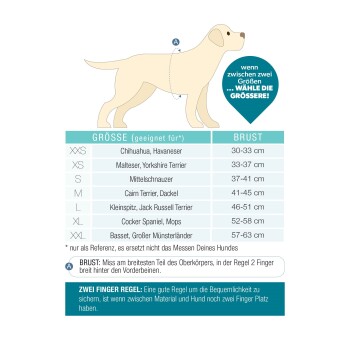 Hund-Größentabelle für Brustumfang in cm mit Rassebeispielen; enthält Messanleitung und Größentipps auf Deutsch.