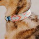 Eine Nahaufnahme des Hundehalses mit einem bunten, gemusterten Halsband mit geometrischen Designs in Blau, Rot und Creme.