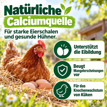 Etikett für "Hühner Land Futter Kalk," mit einer braunen Henne und einem Ei, das essentielle Mineralien für starke Knochen und Eierschalen hervorhebt.