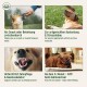 Vierfeld-Grafik für Haustiere: Hundefotos mit Bildunterschriften (Snack/Belohnung; Beschäftigung & Stressreduktion; Zahnpflege; Zahnen)