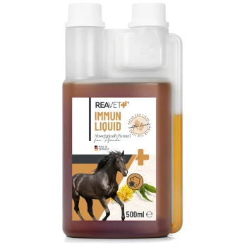 Flasche REAVET IMMUN LIQUID für Pferde, 500ml, mit einer Grafik eines schwarzen Pferdes und Text auf Deutsch über die Unterstützung des Immunsystems.