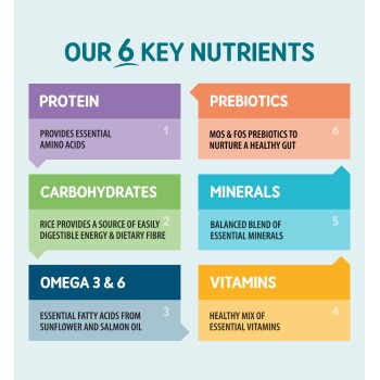 Our 6 key nutrients: Protein, Carbohydrates, Omega 3 & 6, Vitamins, Minerals, Prebiotics with their benefits.