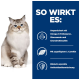 Eine flauschige hellfarbige Katze mit blauen Augen sitzt neben einem Text über die Vorteile von Haustierfutter, einschließlich Omega-3-Fettsäuren und Antioxidantien.