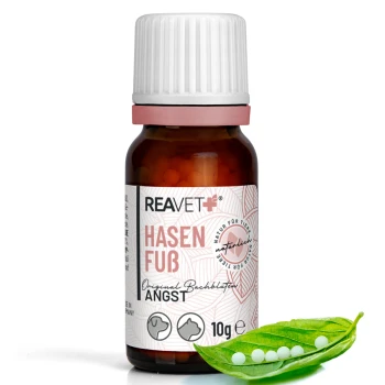 Braune Glasflasche mit dem Etikett "REAVET+ HASEN FUß Original Bachblüten ANGST" mit 10g Produkt, begleitet von einem grünen Blatt und kleinen weißen Kügelchen.