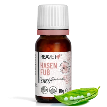 Braune Glasflasche mit dem Etikett "REAVET+ HASEN FUß Original Bachblüten ANGST" mit 10g Produkt, begleitet von einem grünen Blatt und kleinen weißen Kügelchen.