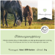 Zwei Pferde grasen auf einer Wiese, mit einem Textfeld darunter, das Fütterungsempfehlungen auf Deutsch gibt. "Made in Germany!" wird oben vermerkt.