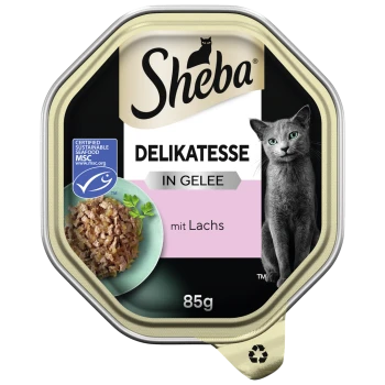 Sheba Delikatesse Katzenfutter in Gelee mit Lachs, mit einer grauen Katze auf dem Etikett, 85 g, und einer Zertifizierung für nachhaltige Meeresfrüchte.