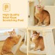 Orange getigerte Katze auf beigem Sisalseil-Kratzpfosten/Kratzbaum; Schriftzug: "High Quality Sisal Rope Scratching Post".
