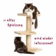 Eine flauschige braun-weiße Katze liegt auf einem Kratzbaum, während eine kleinere dunkle Katze nach oben schaut. Text: "» altes Spielzeug" und "wird wieder interessant."