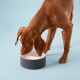 Slow Feed Bowl Black L