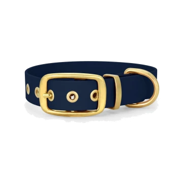 Navy-blaues Haustierhalsband mit goldener Schnalle und Beschlägen, mit mehreren Löchern zur Anpassung.