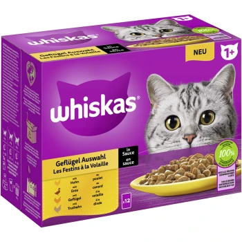 Multipack 1+ Geflügel Auswahl in Sauce 12 x 85g Whiskas Katzenfutterbox mit einem Nahaufnahme eines Katzenkopfes, beschriftet mit "Geflügel Auswahl" mit 12 Portionen in Sauce, 100% Qualitätszutaten.