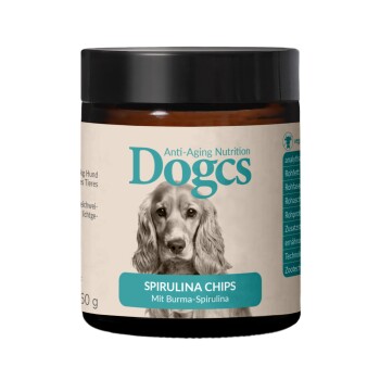 Spirulina Chips