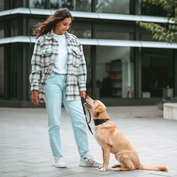 Junge Frau in karierter Jacke und hellen Jeans hält eine Leine, während ein goldfarbener Hund draußen vor einem Gebäude sitzt und zu ihr aufblickt.